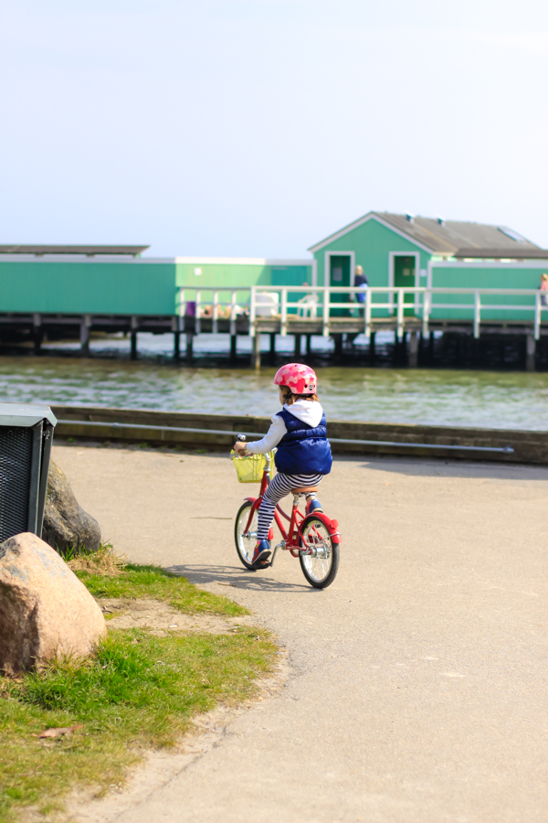 Tips and lessons from learning to ride a bike outside of forest school in Copenhagen, Denmark.