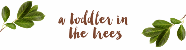 A Toddler in the Trees - a blog about toddler and children's education in the forest school system in Denmark.  