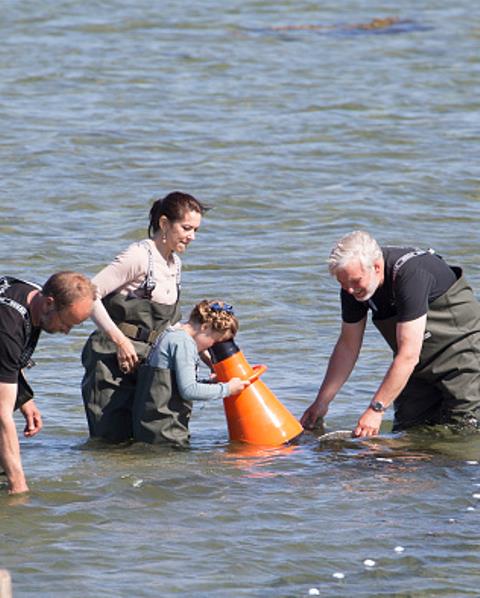 Princess Isabella gets into Nature School on an official visit to Samso Island in Denmark.  Even royals love forest school!