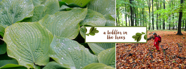 A Toddler in the Trees is a personal blog that tells the story of our toddler in the forest school children's education system and other adventures in parenting in Denmark.