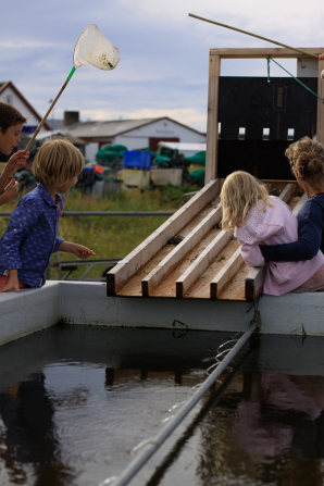 Gilleleje, a day trip with toddlers from Copenhagen on the Danish Riviera.