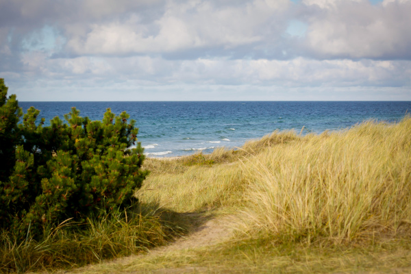 The Toddler's Guide to the Danish Riviera , with tips, tricks and advice on where to take your little ones. There is something for both parents and children in all these seaside towns, located less than an hour away from Copenhagen.