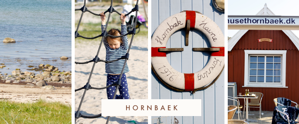 The Toddler's Guide to the Danish Riviera , with tips, tricks and advice on where to take your little ones. There is something for both parents and children in all these seaside towns, located less than an hour away from Copenhagen.