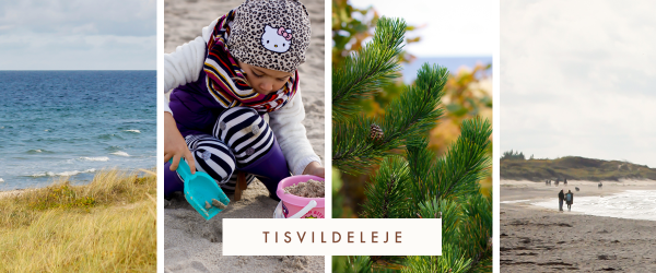 The Toddler's Guide to the Danish Riviera , with tips, tricks and advice on where to take your little ones. There is something for both parents and children in all these seaside towns, located less than an hour away from Copenhagen.