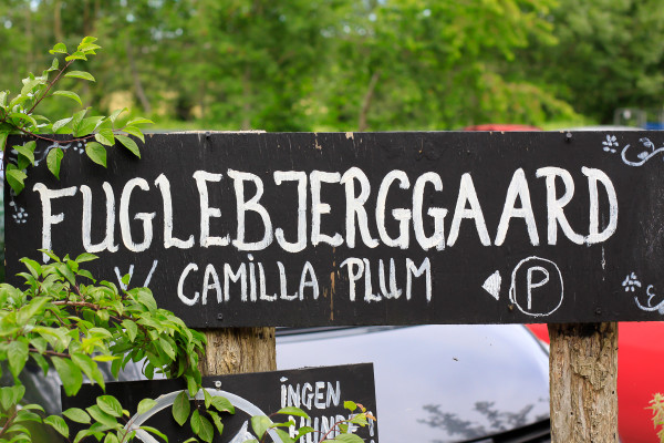 Visiting the Fuglebjerggaard Farm, an easy day trip for families and children outside of Copenhagen for fresh produce and fresh air, run by Camilla Plum, Denmark's leading chef in organic, nordic cuisine.