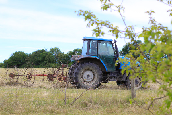 Visiting the Fuglebjerggaard Farm, an easy day trip for families and children outside of Copenhagen for fresh produce and fresh air, run by Camilla Plum, Denmark's leading chef in organic, nordic cuisine