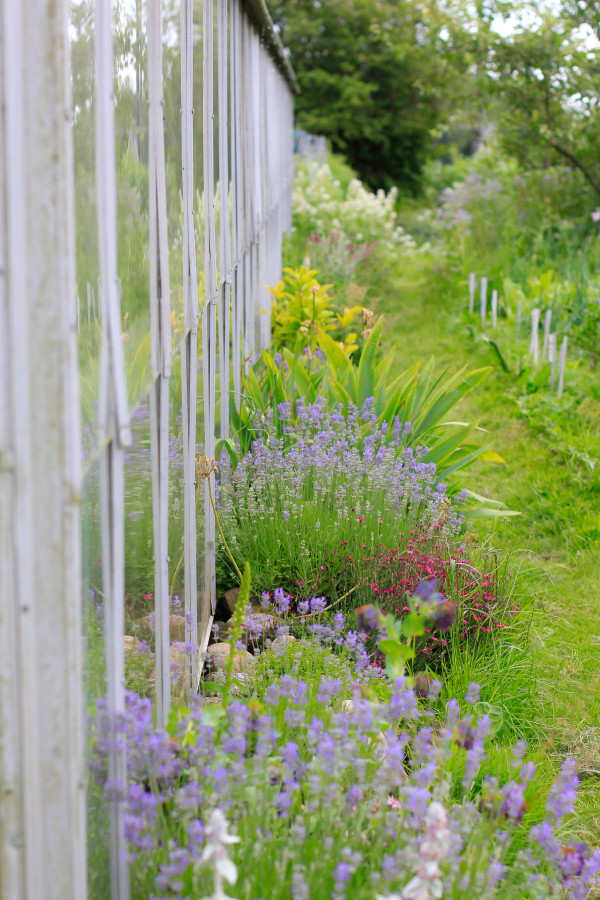 Visiting the Fuglebjerggaard Farm, an easy day trip for families and children outside of Copenhagen for fresh produce and fresh air, run by Camilla Plum, Denmark's leading chef in organic, nordic cuisine