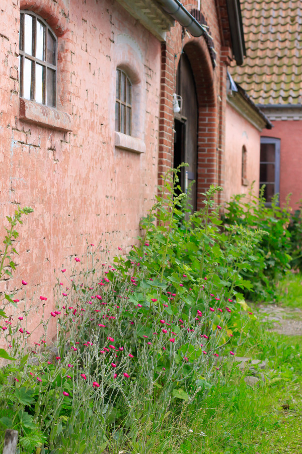 Visiting the Fuglebjerggaard Farm, an easy day trip for families and children outside of Copenhagen for fresh produce and fresh air, run by Camilla Plum, Denmark's leading chef in organic, nordic cuisine