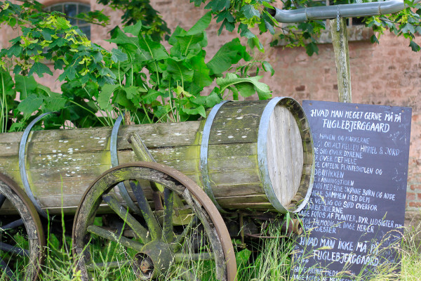 Visiting the Fuglebjerggaard Farm, an easy day trip for families and children outside of Copenhagen for fresh produce and fresh air, run by Camilla Plum, Denmark's leading chef in organic, nordic cuisine