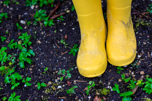 Our decision to keep forest school going for one more year for our toddler and the implication for her education