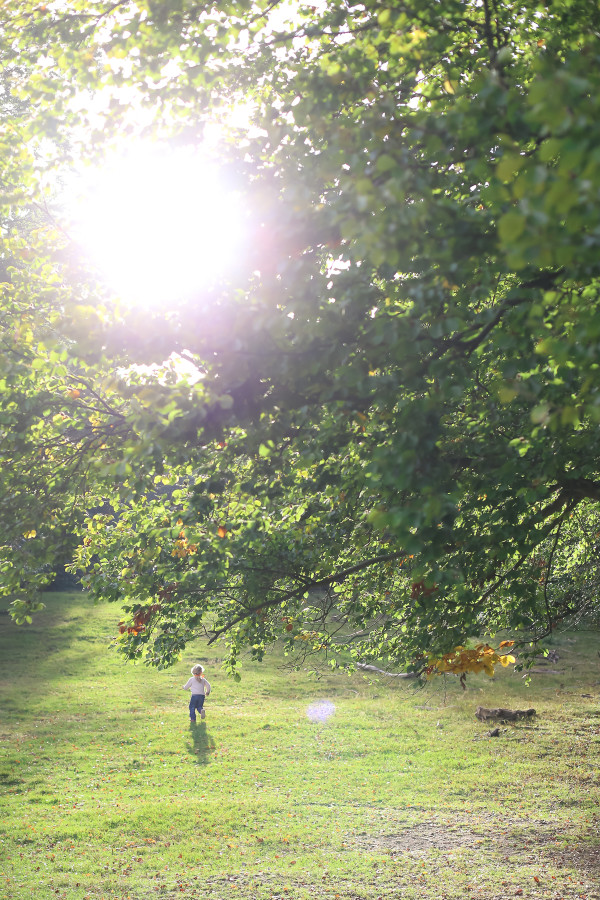 Toddlers in forest school get outside with their education and invite parents to join in on for Field Day in Denmark.