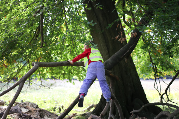 Toddlers in forest school get outside with their education and invite parents to join in on for Field Day in Denmark.