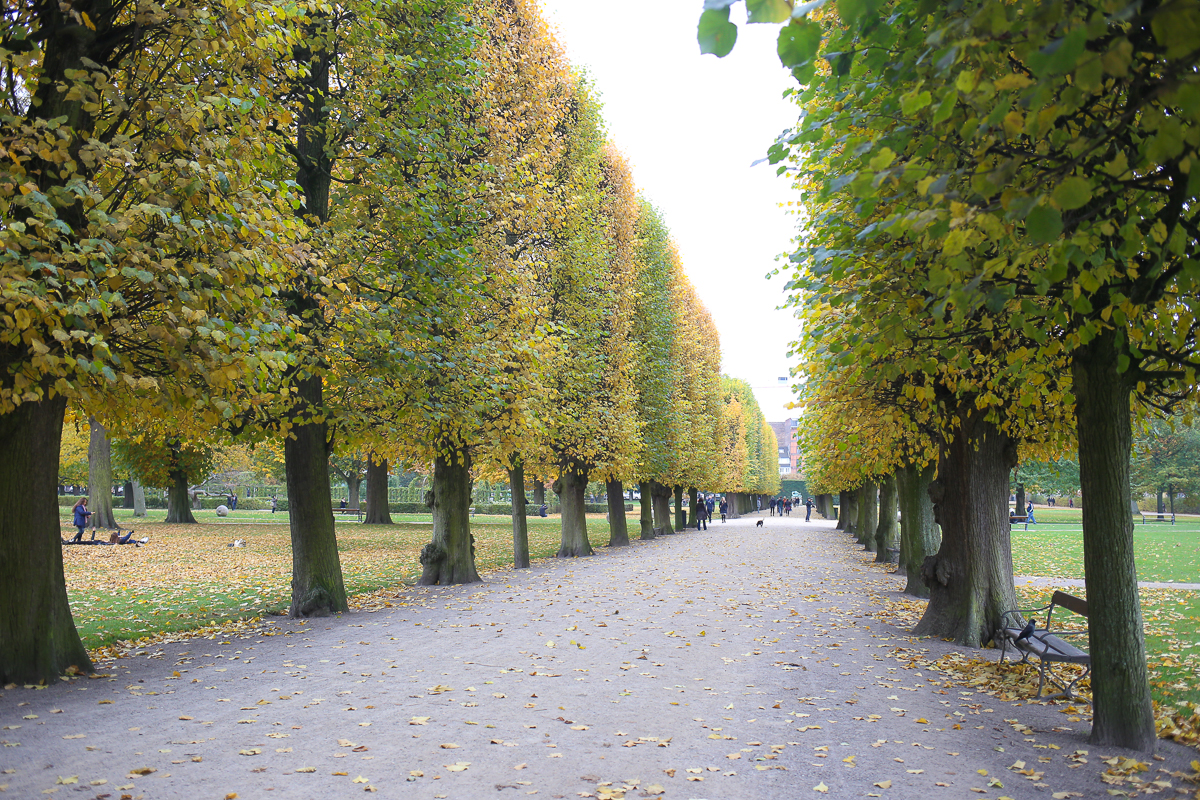 Walking through the gardens of Copenhagen's Kongen's Have, a must-see of any visitor or resident. Just goes to show, you don't have to go to forest school or have all the outdoor gear to get outside and have fun outside.