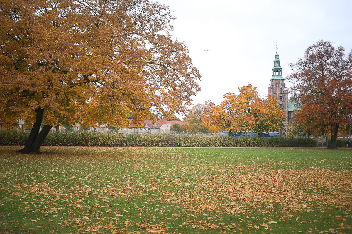 Walking through the gardens of Copenhagen's Kongen's Have, a must-see of any visitor or resident. Just goes to show, you don't have to go to forest school or have all the outdoor gear to get outside and have fun outside.