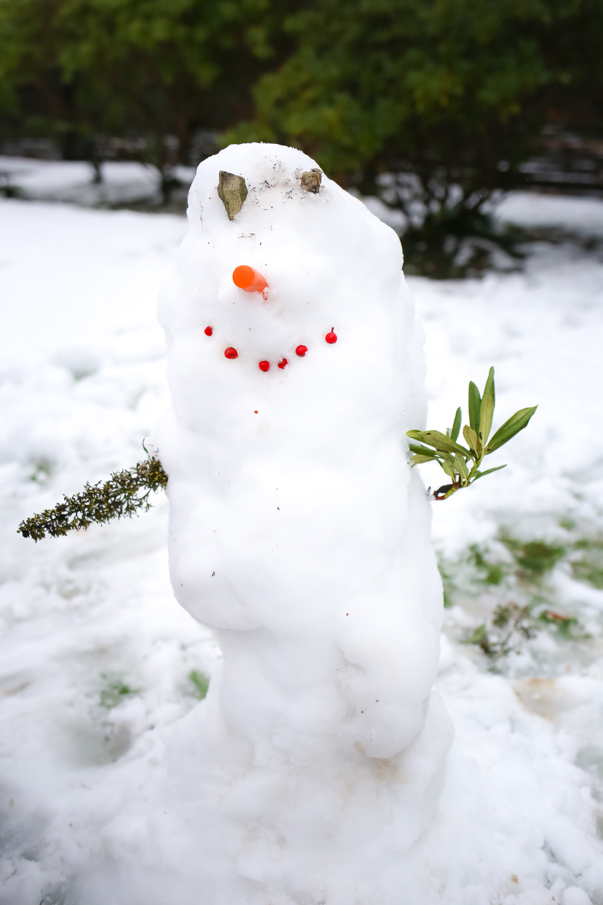 Forest School Snowman-3