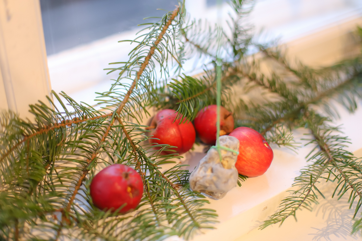 The forest school celebrates the Christmast holidays with plenty of nature and hygge.