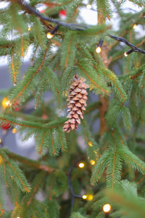 The forest school celebrates the Christmast holidays with plenty of nature and hygge.