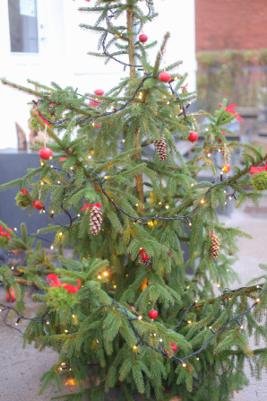 The forest school celebrates the Christmast holidays with plenty of nature and hygge.