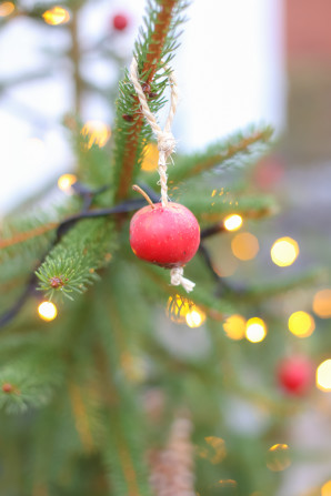 The forest school celebrates the Christmast holidays with plenty of nature and hygge.