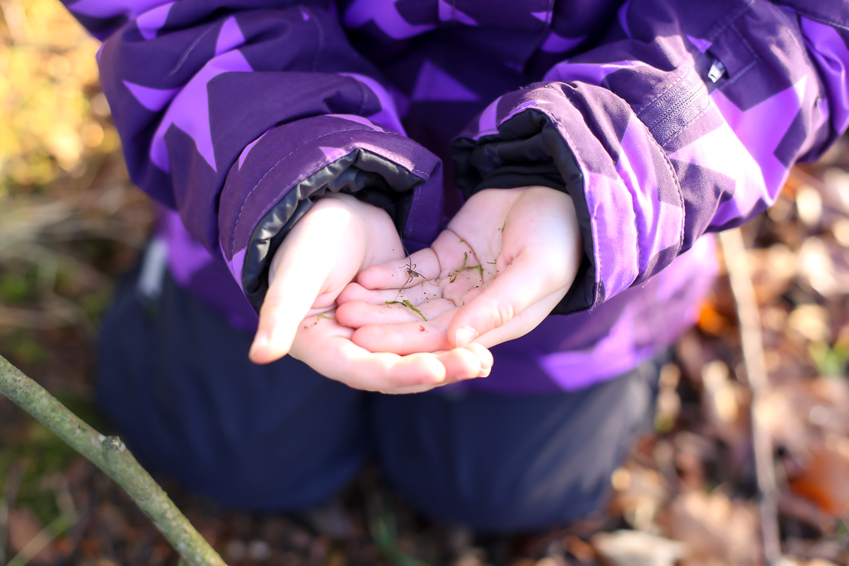 Revising the forest school to tag along as a parent in Denmark.