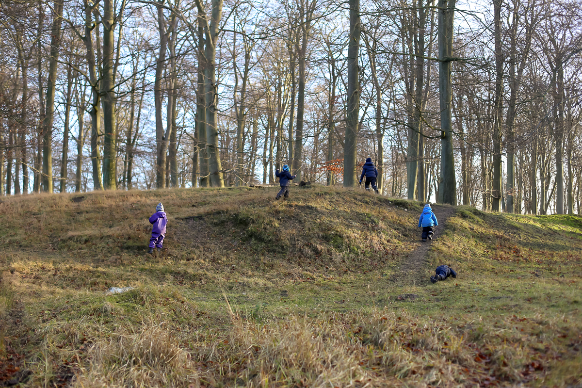 Revising the forest school to tag along as a parent in Denmark.