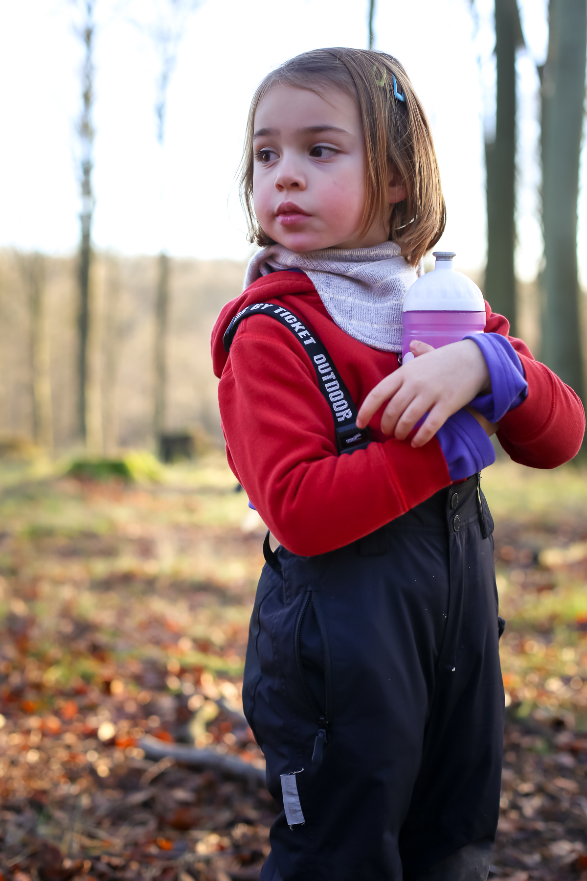 Revising the forest school to tag along as a parent in Denmark.