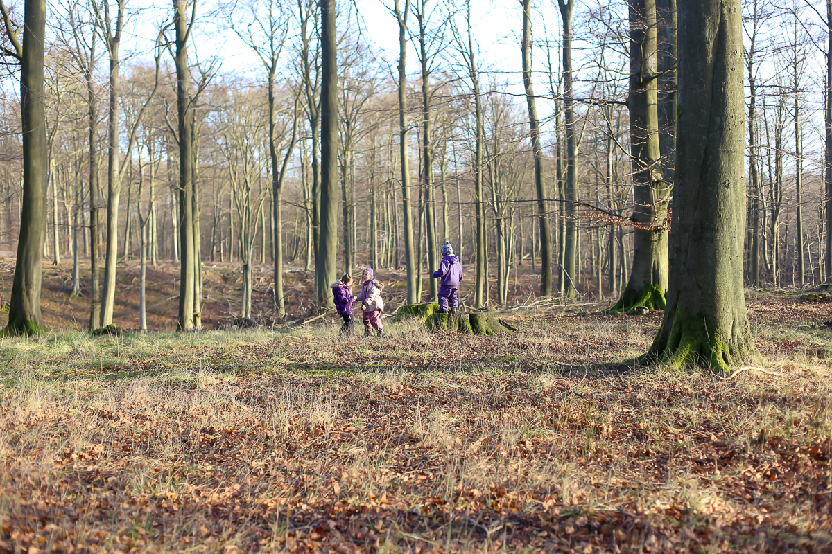 Revising the forest school to tag along as a parent in Denmark.