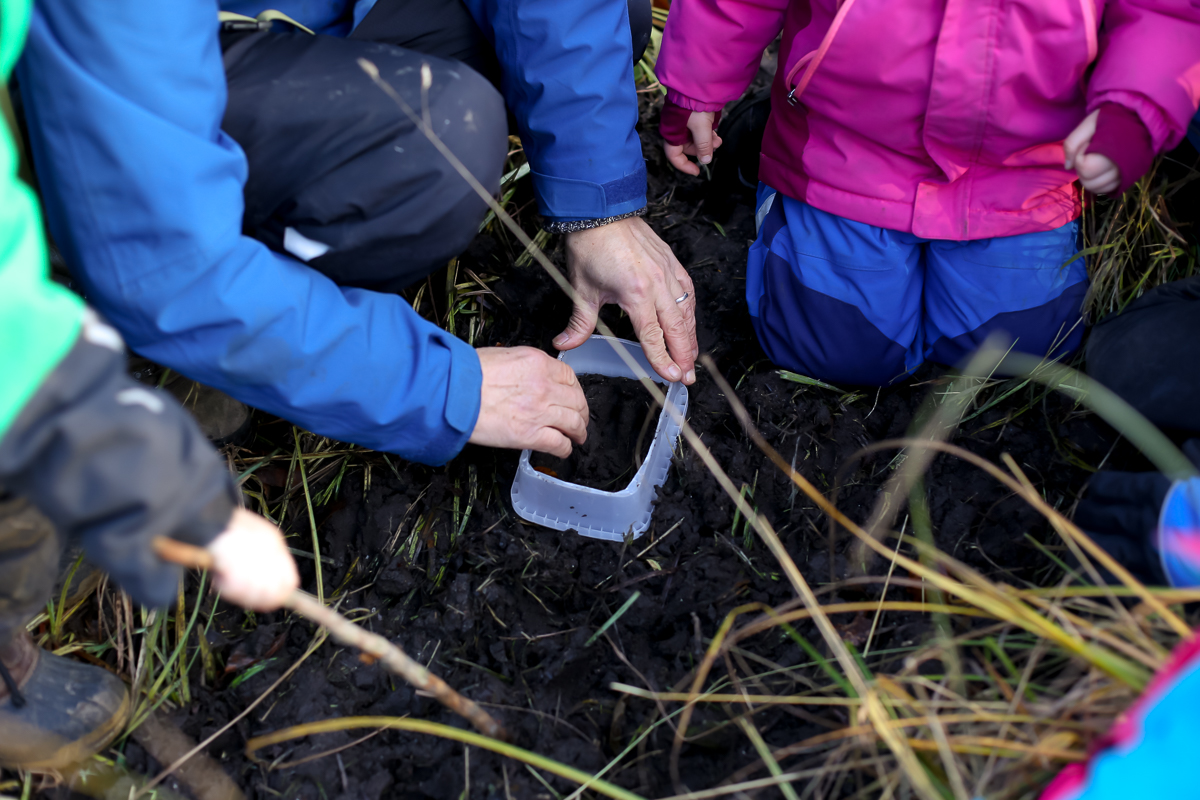 Revising the forest school to tag along as a parent in Denmark.