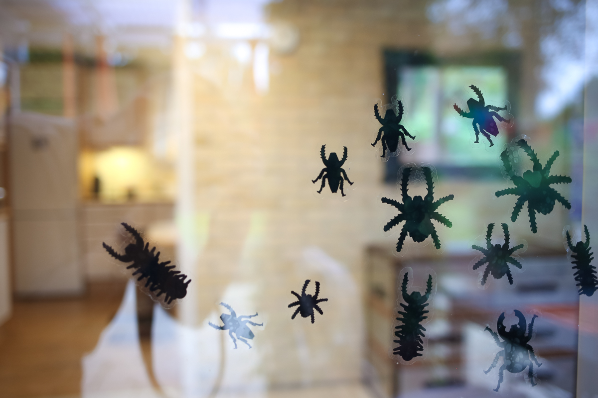 A halloween celebration for a forest school in Denmark.  