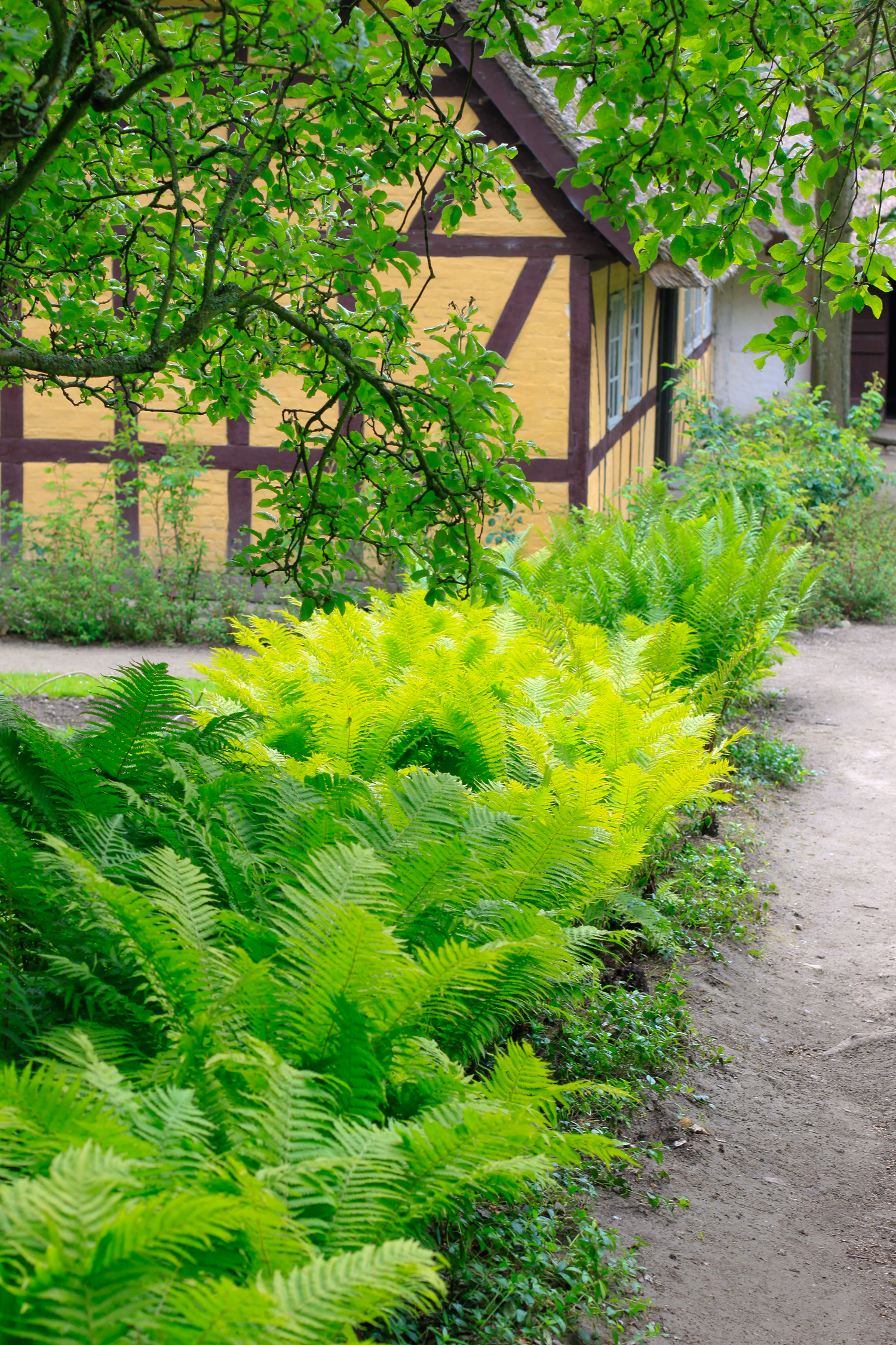 A day trip out to the Open Air Museum in Lyngby, just outside of Copenhagen Denmark.