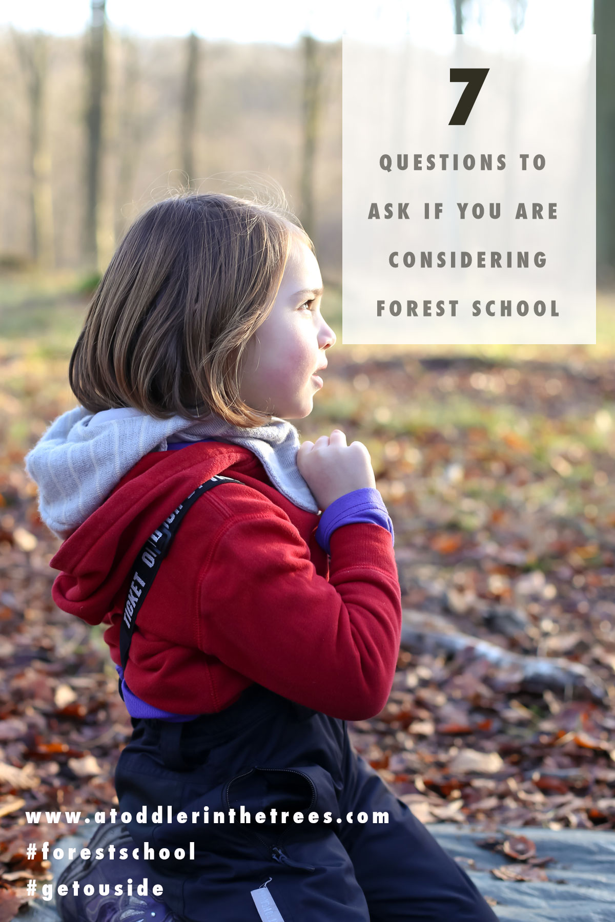 Seven key questions any parent should ask themselves when considering forest school or forest kindergarten for their children's education.