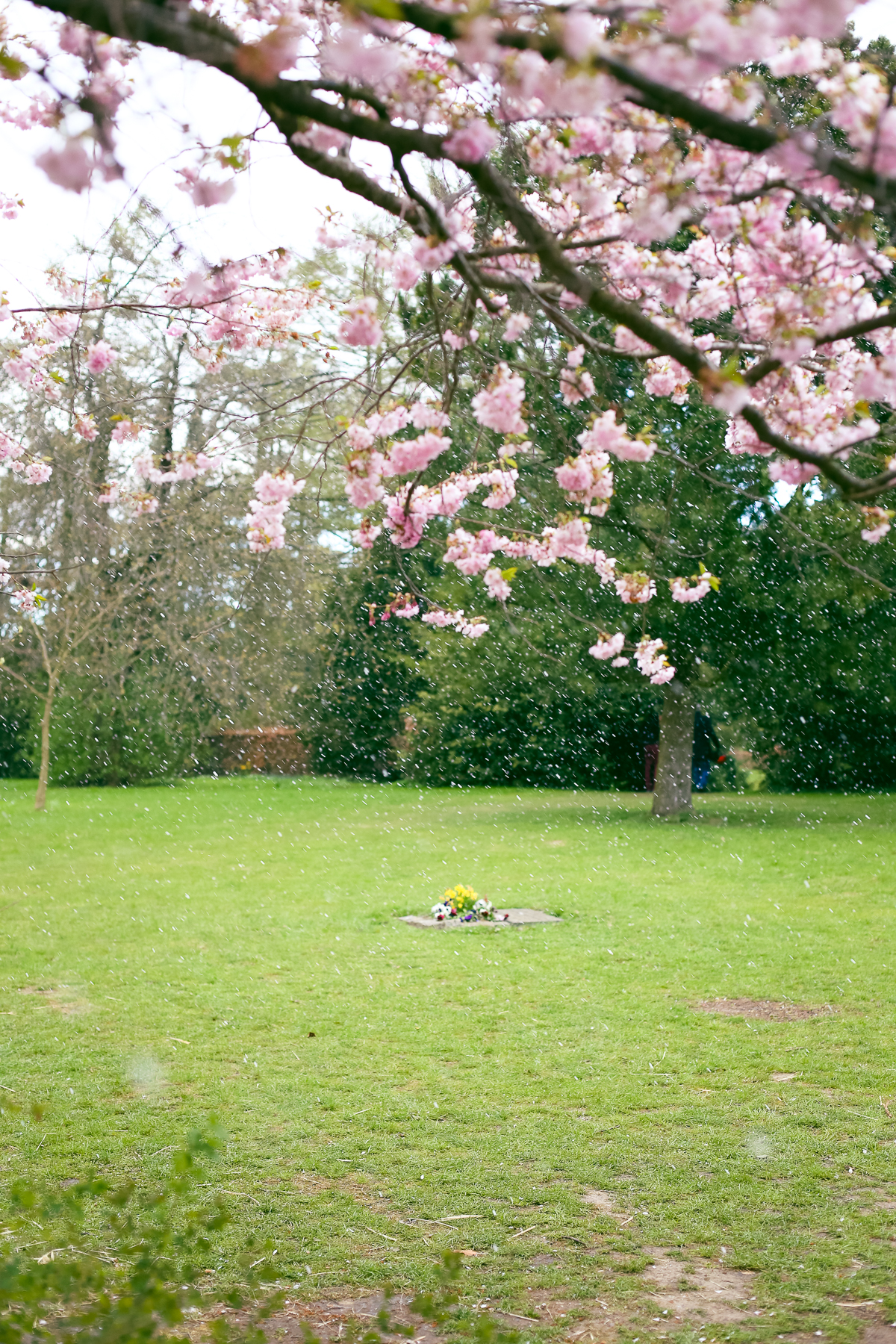 A little break for this forest school tot to check out Copenhagen's best cherry blossoms at the Bispebjerg Cemetery.