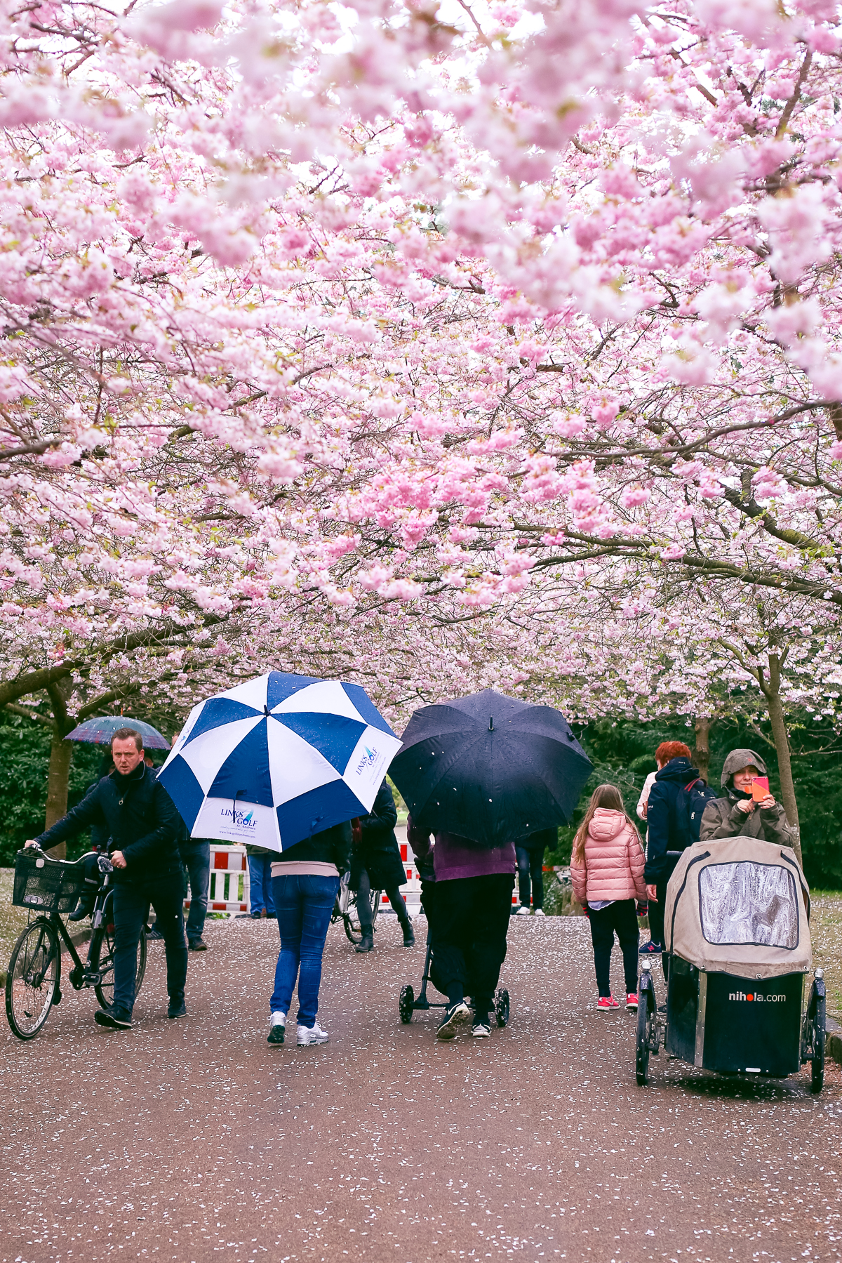 A little break for this forest school tot to check out Copenhagen's best cherry blossoms at the Bispebjerg Cemetery.