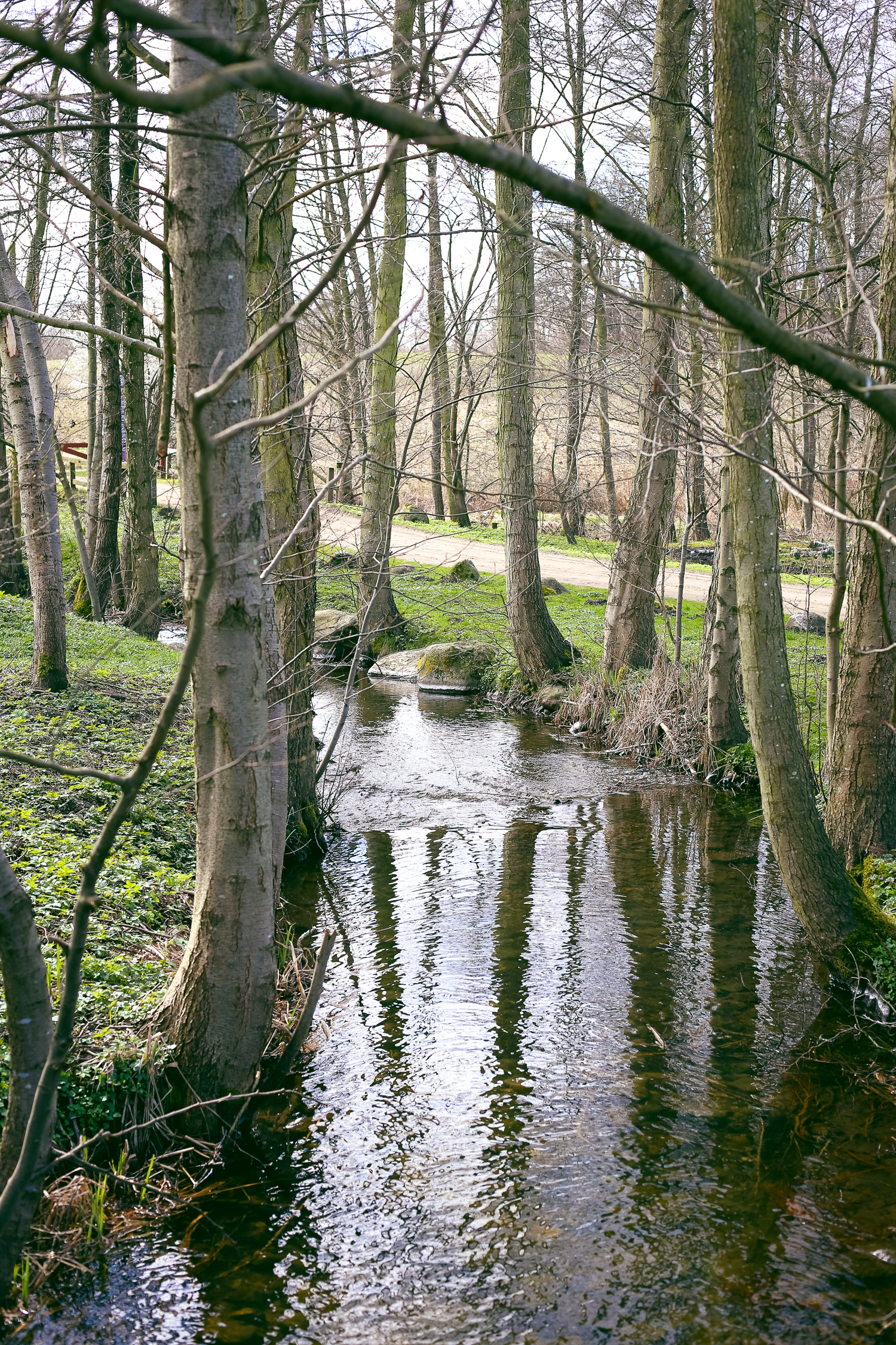 A day trip outside of Copenhagen, Denmark to Esrum Abbey, perfect for adults and toddlers alike.