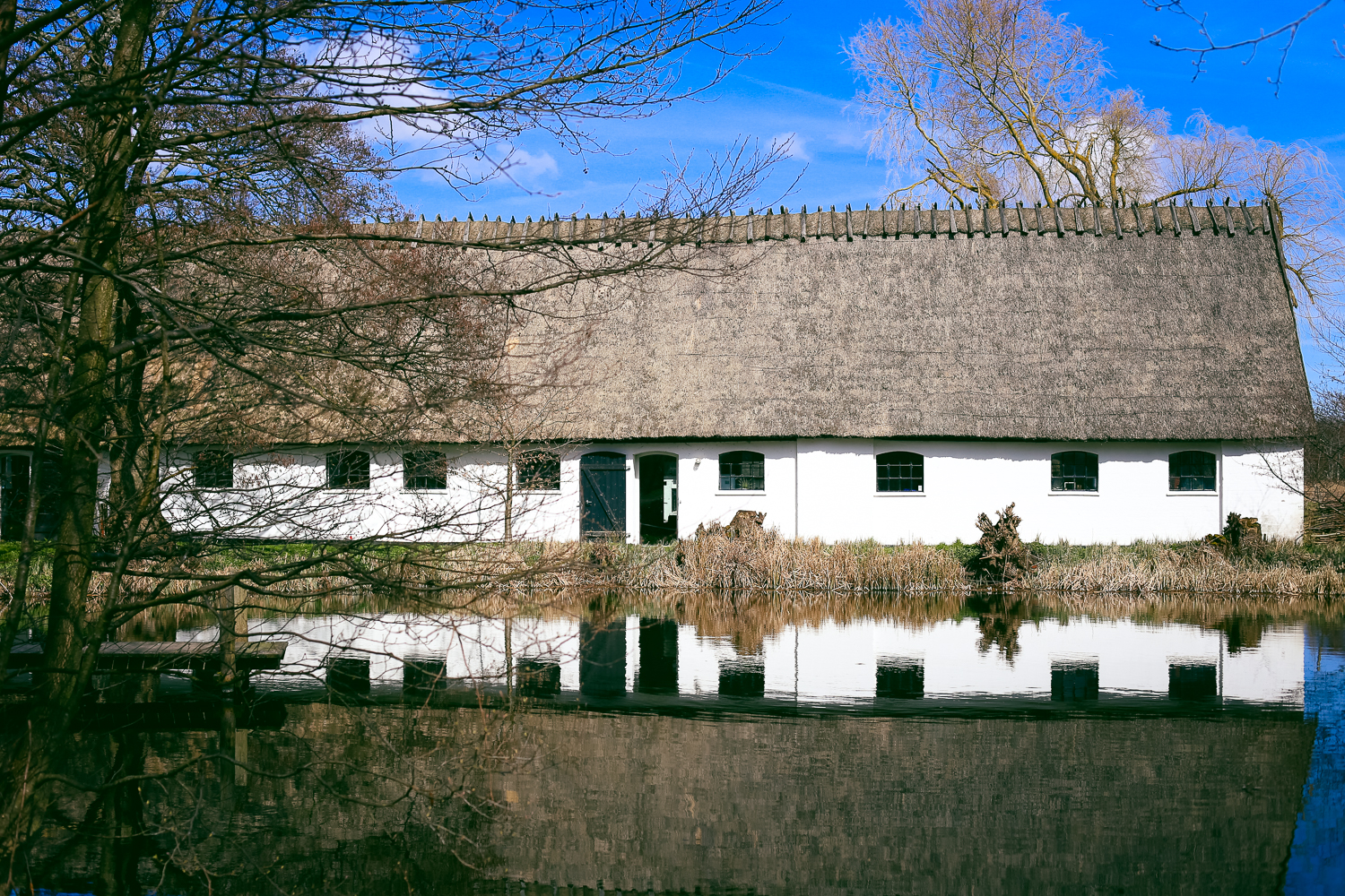 A day trip outside of Copenhagen, Denmark to Esrum Abbey, perfect for adults and toddlers alike.