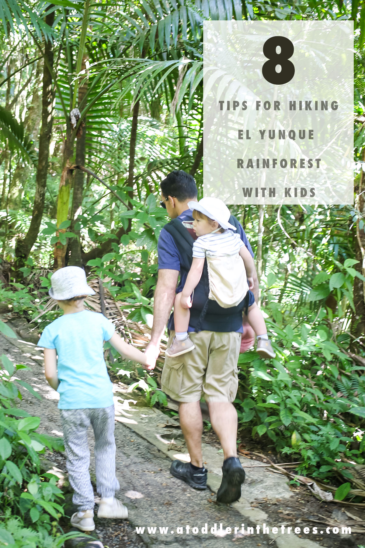 Tips and tricks of hiking the El Yunque Rainforest National Park with children.