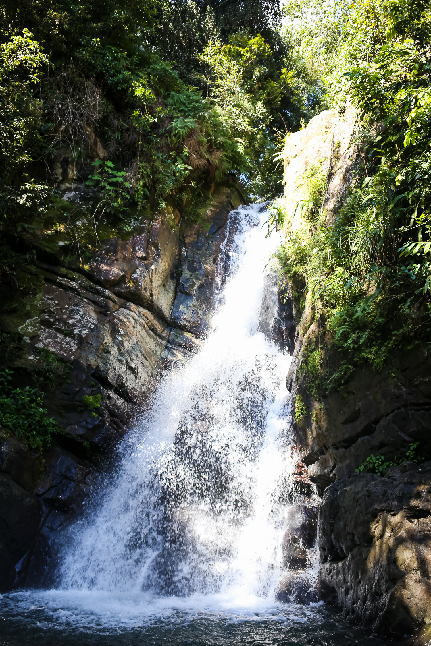 Hiking with Kids in El Yunque Rainforest in Puerto Rico.