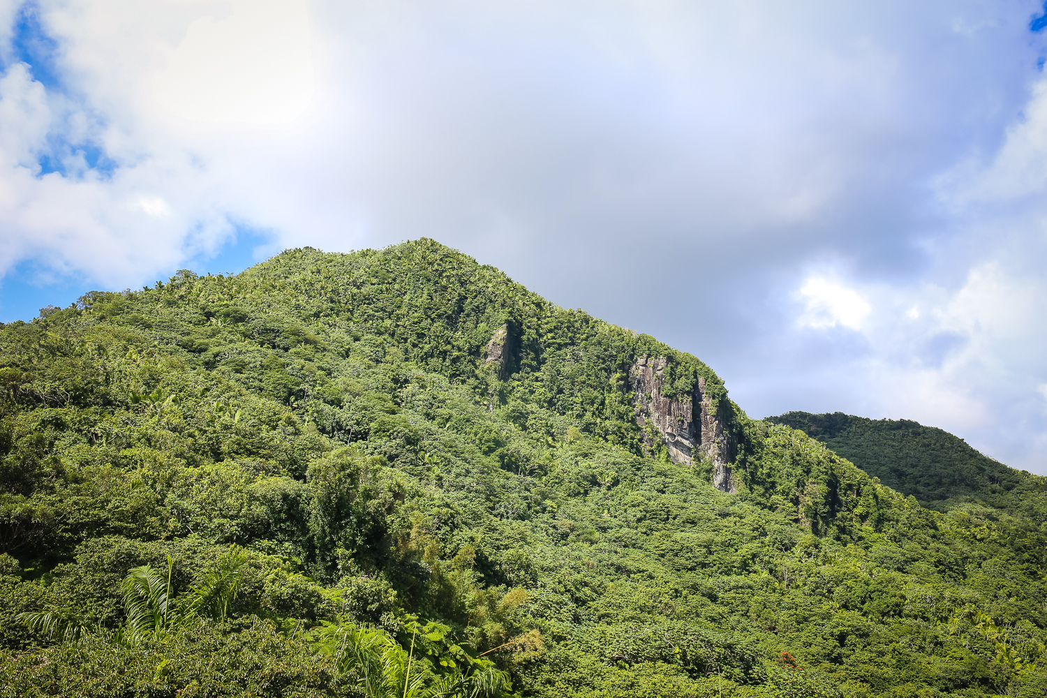 Hiking with Kids in El Yunque Rainforest in Puerto Rico.