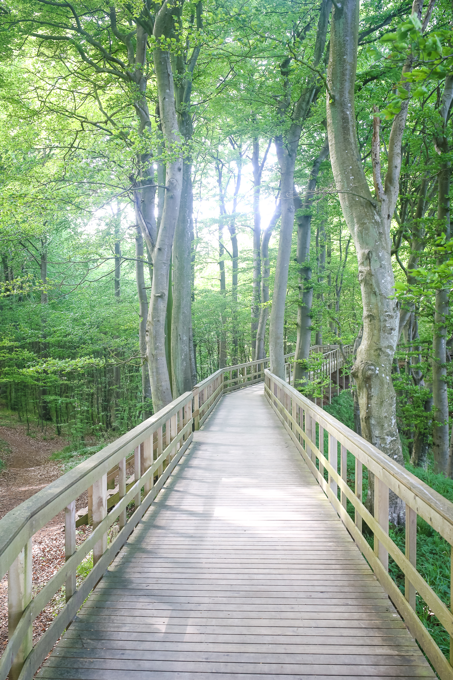 Day trip to Mon island from Copenhagen, Denmark.  Stop to visit the chalky cliffs and the wonderful nature center.