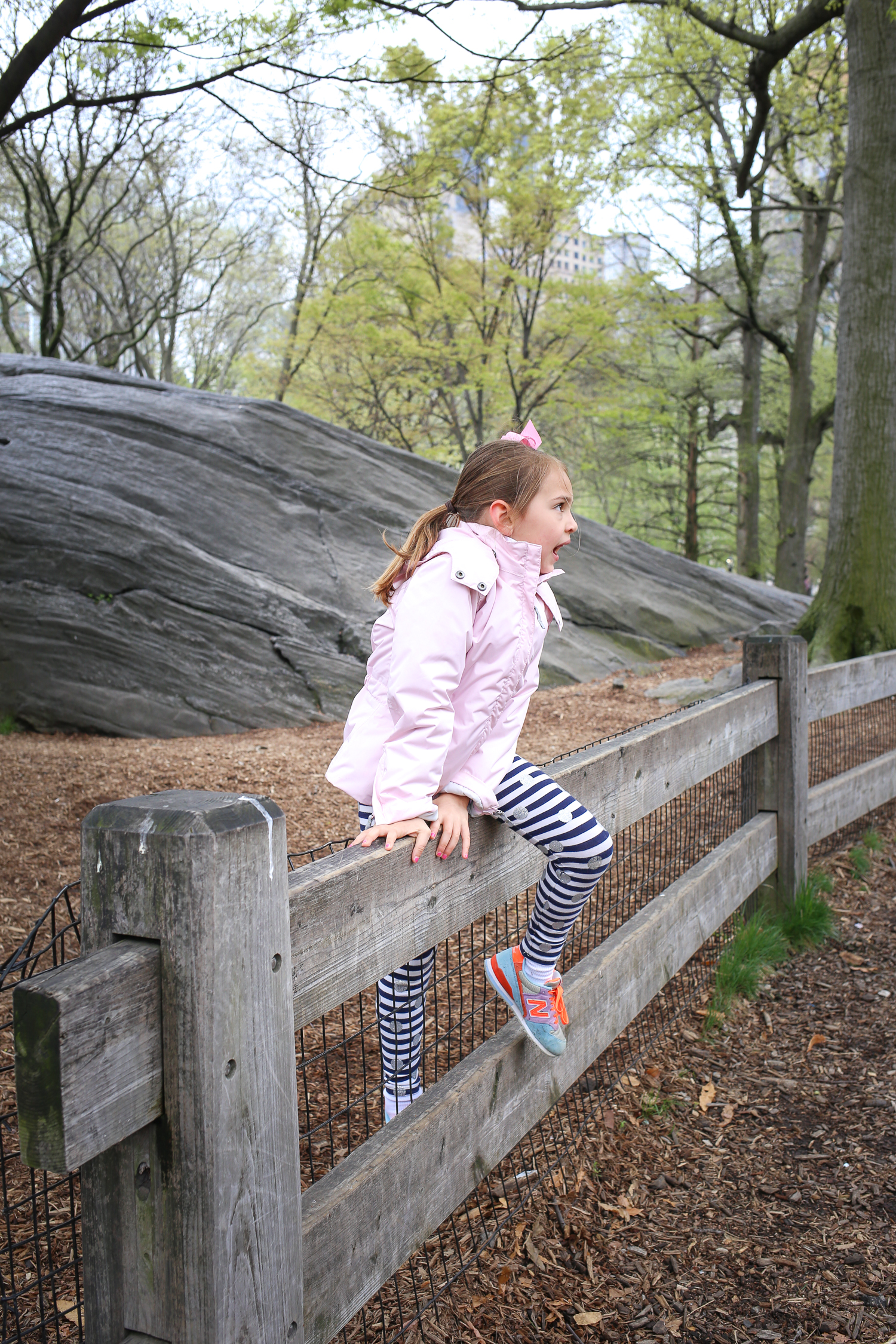 Play space and green space in the middle of New York City's Central Park!