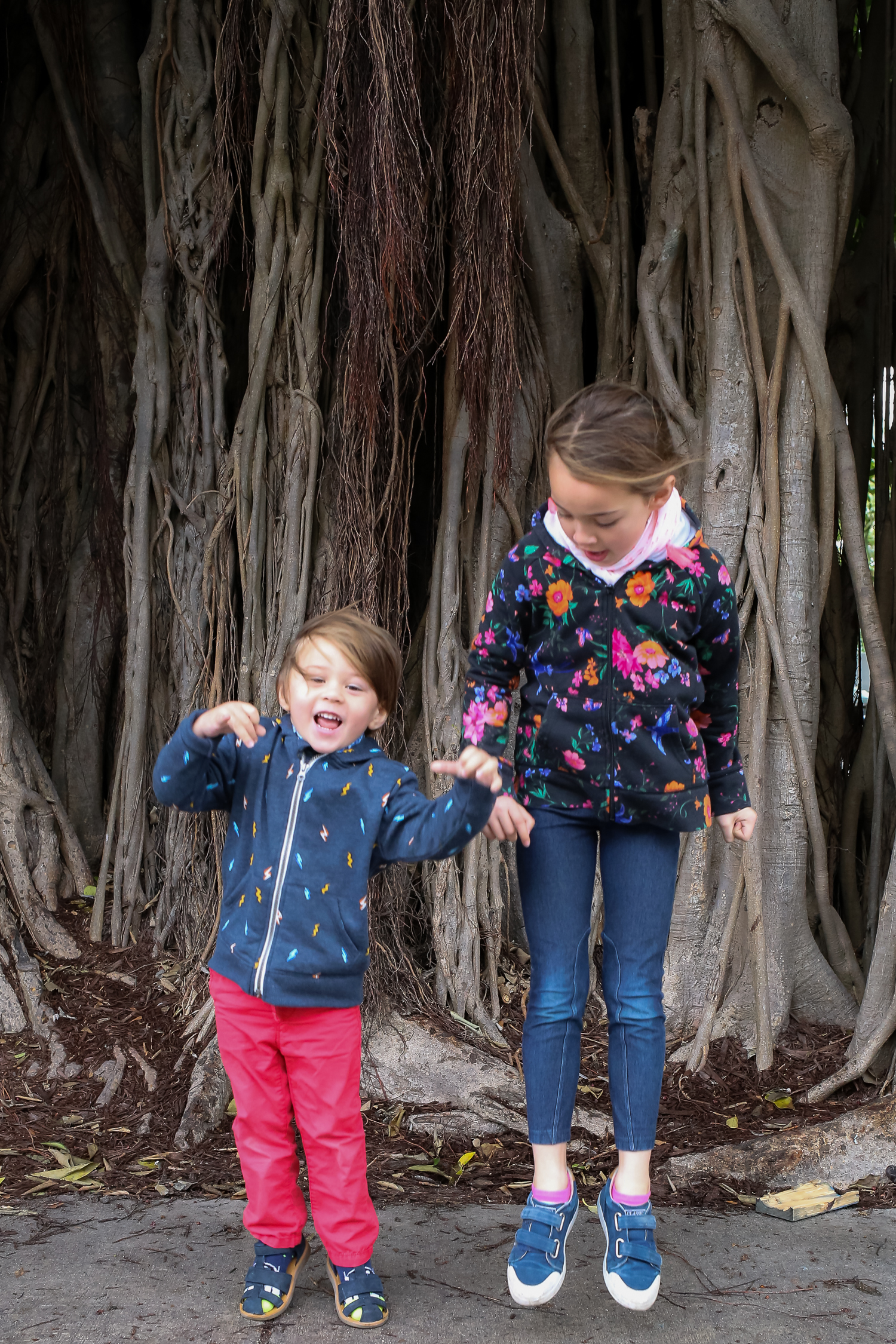 Toddlers in the Trees-1