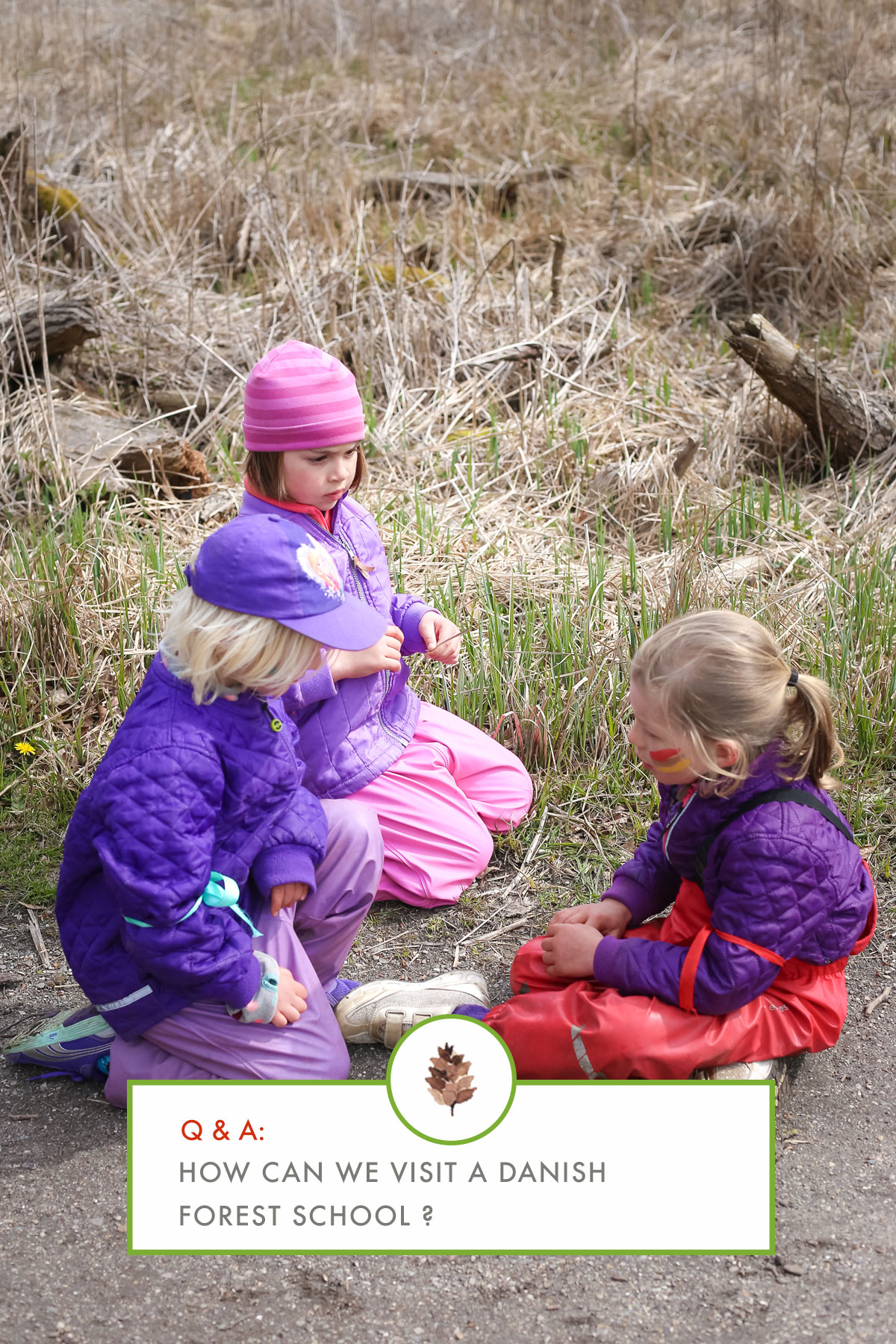 Forest School Forest Kindergarten Outside Education 