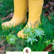 Rain-boots-1200