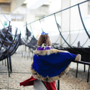 A visit to the Viking Ship Museum in Roskilde, Denmark is perfect for toddlers.