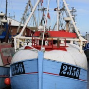 Gilleleje, a day trip with toddlers from Copenhagen on the Danish Riviera.