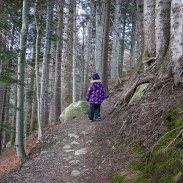 What to do when your preschooler drops the F bomb unexpectedly.