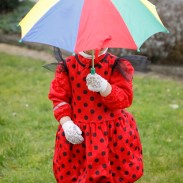 Fastelavn, a Mardi Gras style celebration in Denmark and the forest school.