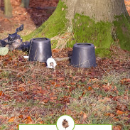 We answer the frequently asked question of where toddlers go to the bathroom while in forest school, in Copenhagen, Denmark.