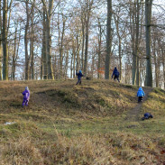 Revising the forest school to tag along as a parent in Denmark.