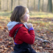 Seven key questions any parent should ask themselves when considering forest school or forest kindergarten for their children's education.